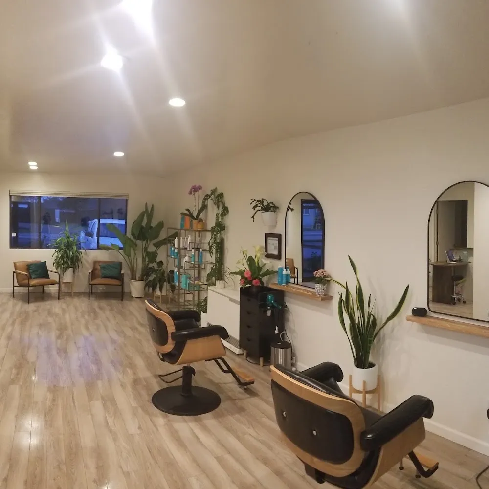 Maven Collective — Hair Salon
